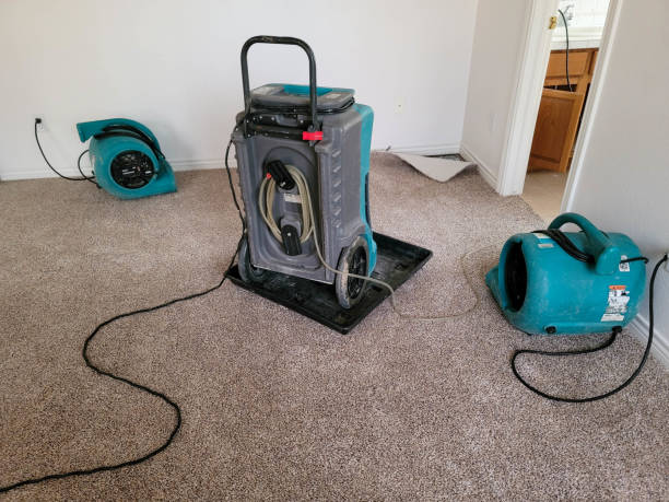 Best Carpet water damage restoration  in Xtonia, PA