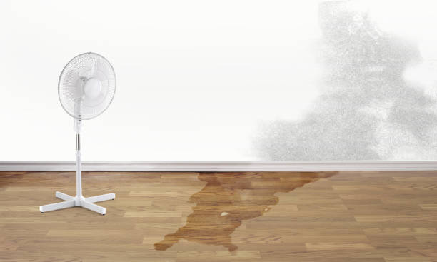 Best Commercial water damage restoration  in Xtonia, PA