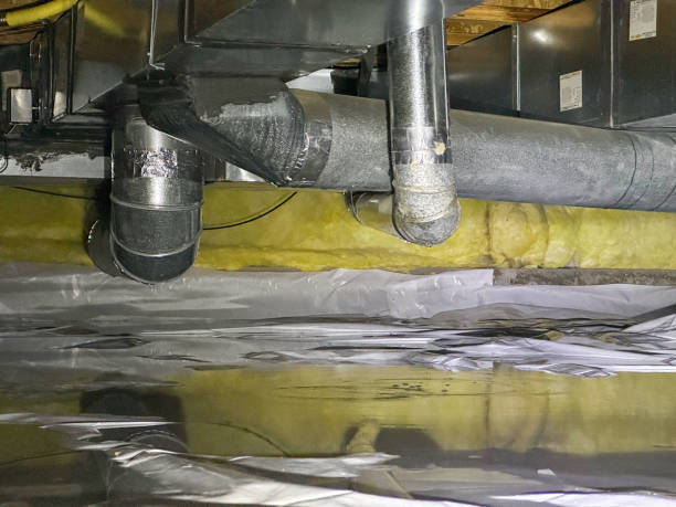 Best Professional water damage repair  in Xtonia, PA