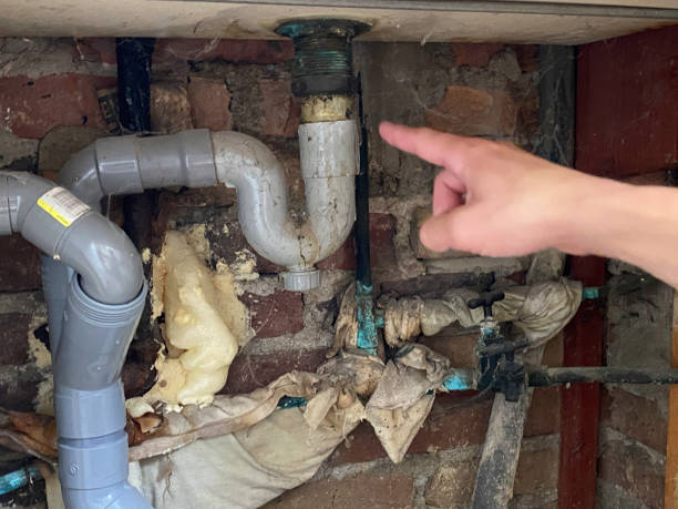 Best Water damage contractors near me  in Xtonia, PA